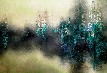 Waldnebel | Geheimnisvoller Wald im Morgennebel